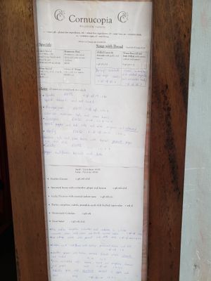 Lunch menu at Cornucopia in Dublin