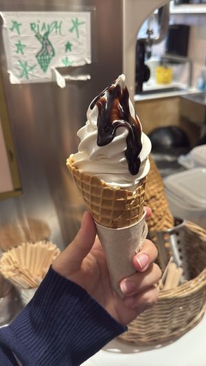 Soft serve ice cream   at Cornucopia in Dublin
