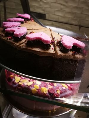 Vegan at Cornucopia in Dublin