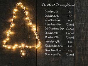Festive Opening Hours 2020 at Down To Earth in Dublin