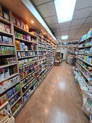 Down To Earth at Down To Earth in Dublin