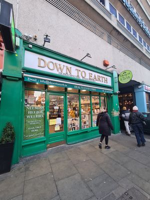 Down To Earth at Down To Earth in Dublin