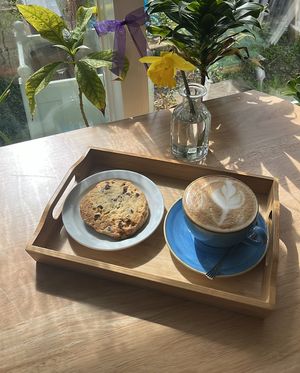   at Sonairte Cafe - The Ninch in Laytown