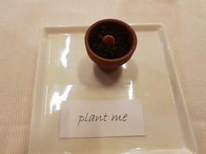 Cute freebie at Joia Alta Cucina Naturale in Milan