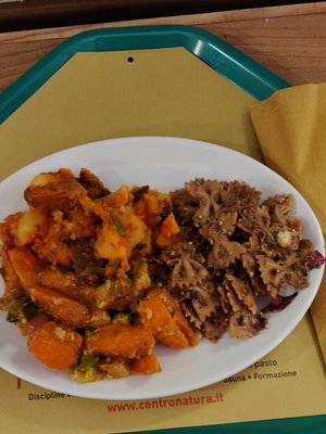 Farfalle con pesto di radicchio a dx at Centro Natura in Bologna