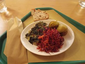  at Centro Natura in Bologna