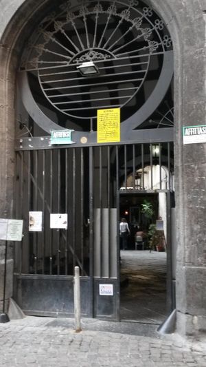 through gate at Amico Bio - Un Sorriso Integrale in Naples