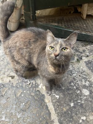   at Amico Bio - Un Sorriso Integrale in Naples