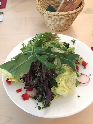 Mixed salad at Gasthaus zum Sternen in Efringen-kirchen
