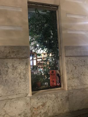 Inside at Jardin Urbano in Valencia