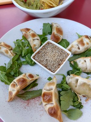  at Jardin Urbano in Valencia