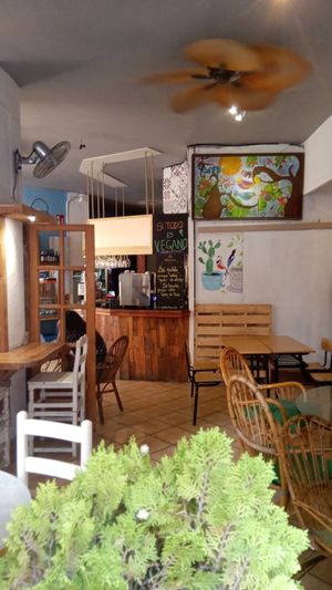  at Jardin Urbano in Valencia