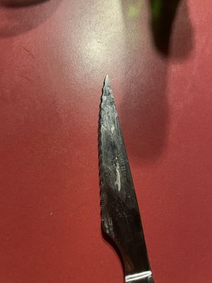   at Jardin Urbano in Valencia