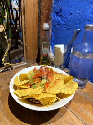 Nachos with guacamole and salsa sauce at Jardin Urbano in Valencia