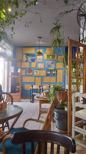  at Jardin Urbano in Valencia