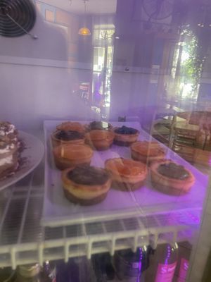   at Jardin Urbano in Valencia