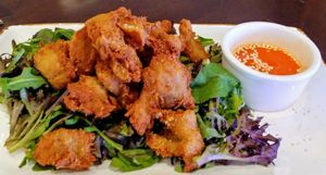 Balo bites at Oh My Greens in Melton South