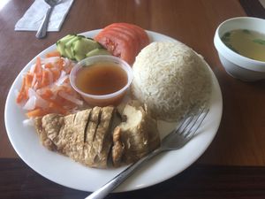 Vegan chicken and broken rice   at San San Tofu in Houston