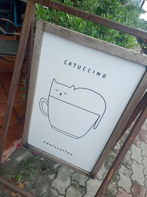  at Dots Coffee in Koh Phangan