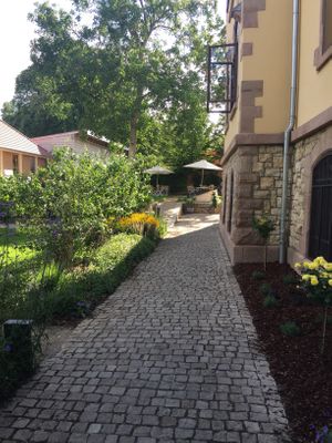 Nice surrounding  at GUT LEBEN am Morstein in Westhofen