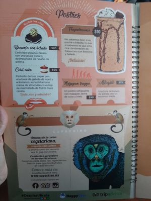  at Capuchino Cafe in La Paz