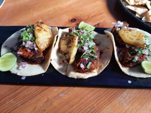 Falafel tacos at Capuchino Cafe in La Paz