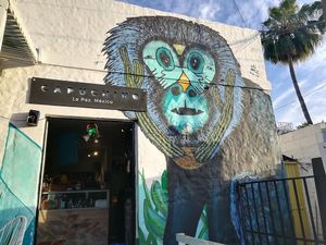 Capuchin Monkey mural at Capuchino Cafe in La Paz