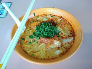 Laksa - Daily special for Mon / Sat  at Lucky Vegetarian 宏运素食 in Central Singapore