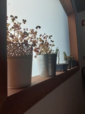  at Greenstore4u  in Vila Verde