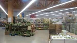 Inside at Bio-Planet in Leuven