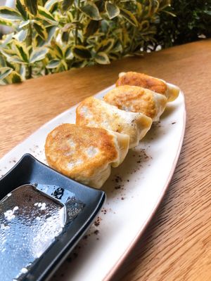 Gyoza at YUZU in Istanbul