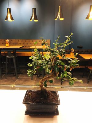 Inside at YUZU in Istanbul