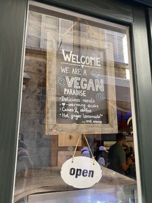   at Nishta in Dubrovnik