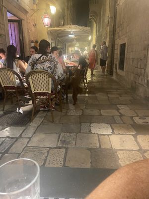 The little house dog preferred the neighbouring restaurant it seems!  at Nishta in Dubrovnik
