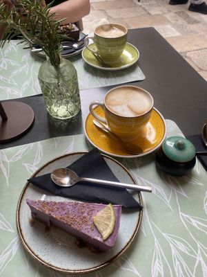   at Nishta in Dubrovnik