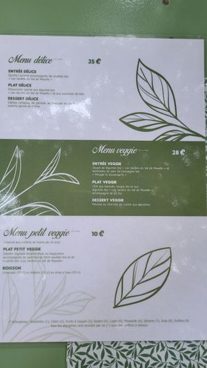  at Délices Veggies in Metz