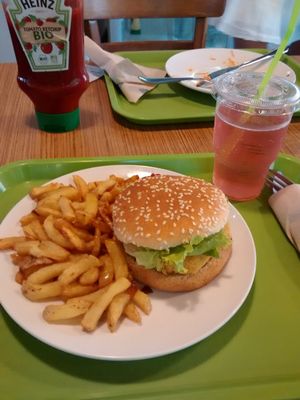 "Menu Veggie" with french fries and a falafel burger. at Délices Veggies in Metz