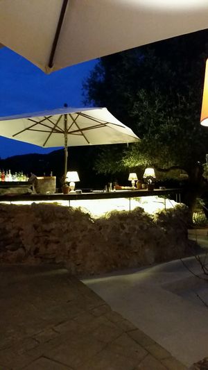 garden and bar at Can Domingo in Ibiza