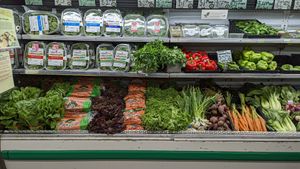  at Chatham Marketplace in Pittsboro