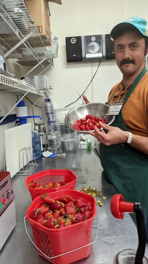  at Chatham Marketplace in Pittsboro