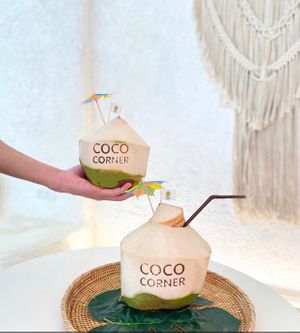 Fresh thai coconut  at Coco Corner in Chiang Mai