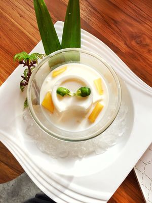 Mango Coco Pudding at Coco Corner in Chiang Mai