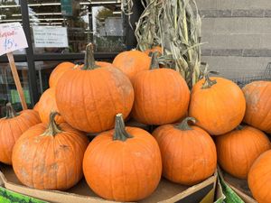   at Berkeley Bowl - West in Berkeley