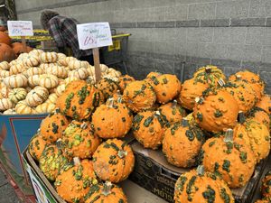   at Berkeley Bowl - West in Berkeley