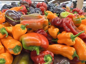   at Berkeley Bowl - West in Berkeley