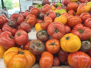   at Berkeley Bowl - West in Berkeley