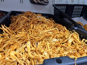   at Berkeley Bowl - West in Berkeley