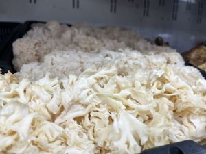   at Berkeley Bowl - West in Berkeley