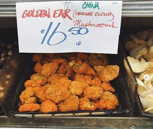 Large mushroom selection at Berkeley Bowl - West in Berkeley