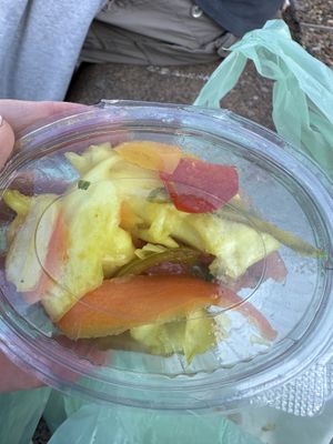   at Falafel Tova in Netanya